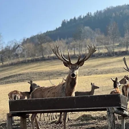 ホテル Erlebnis Wasserhammer *