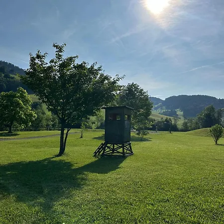 Erlebnis Wasserhammer